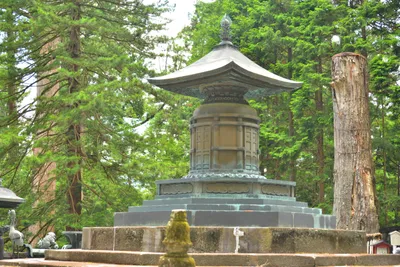 DSC_3903 (Large).JPG